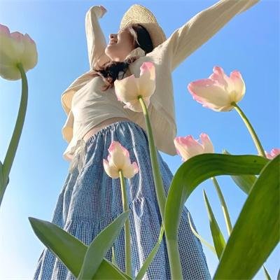 紫川·光明三杰